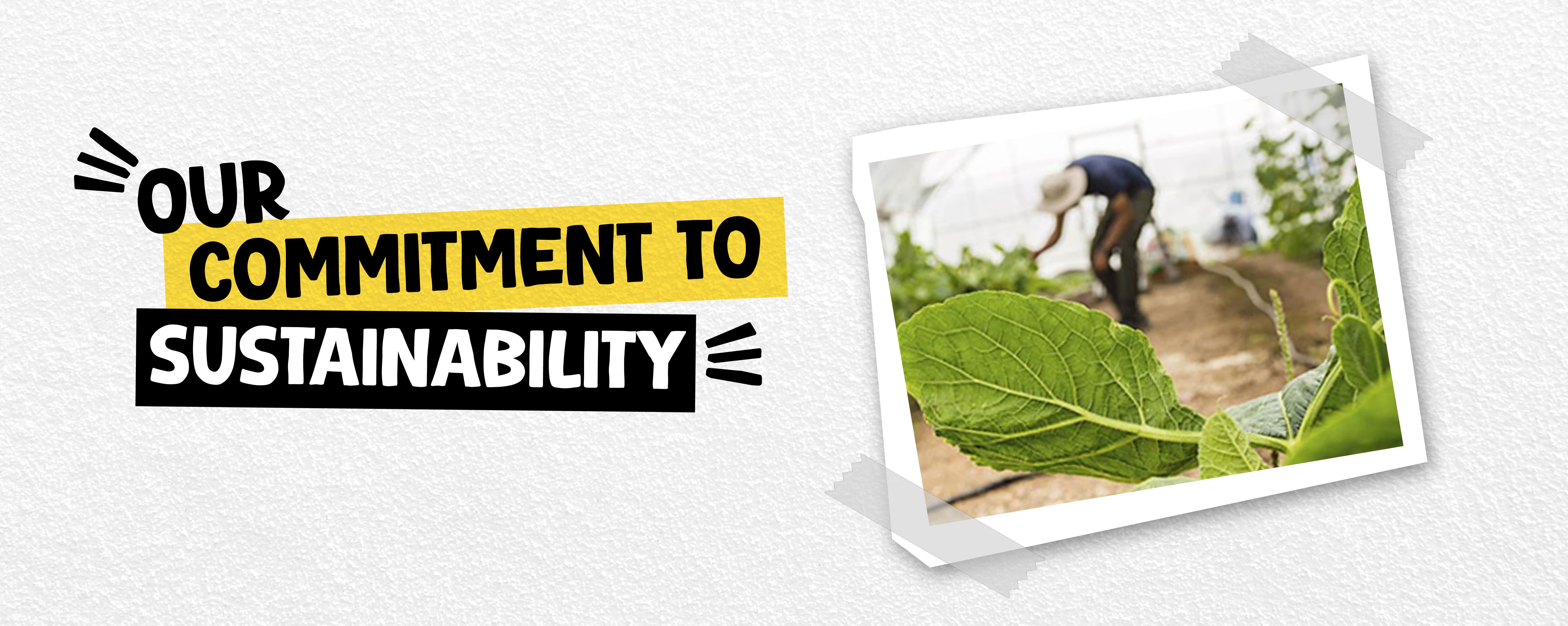 MA’s Kitchen — Hero banner